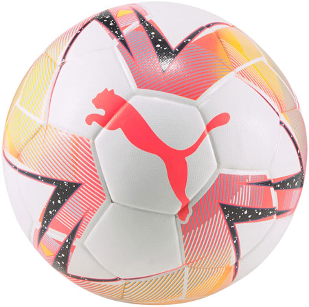 FIFA quality grade futsall ball by Puma